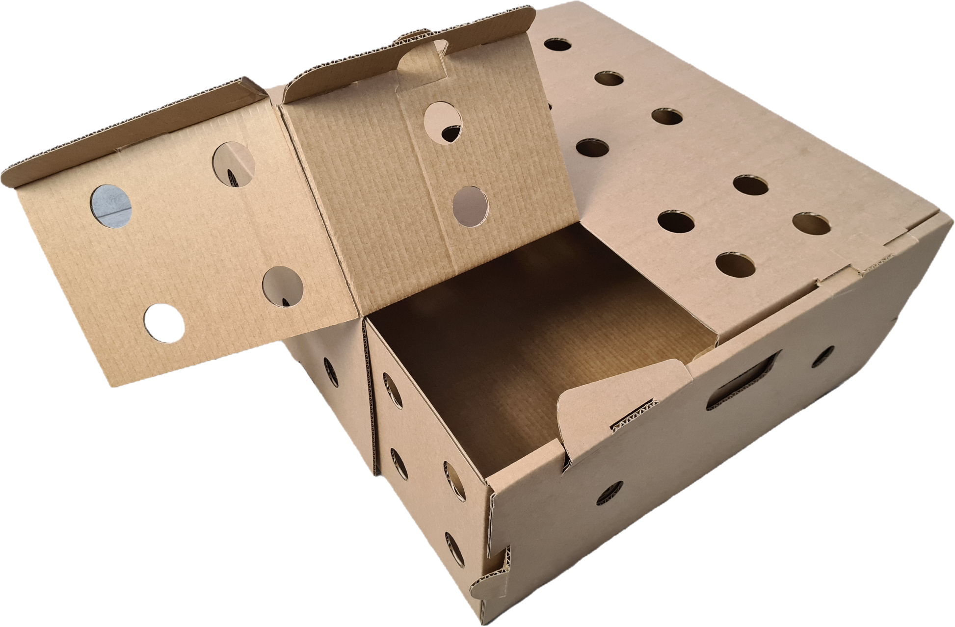 Custom die-cut packaging