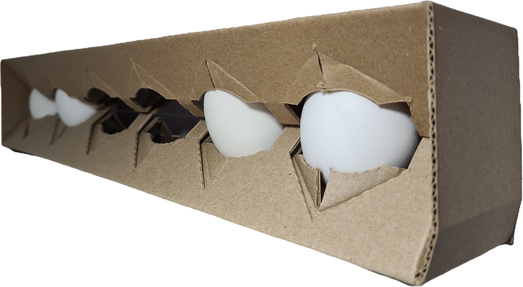 Projects & Case Studies
